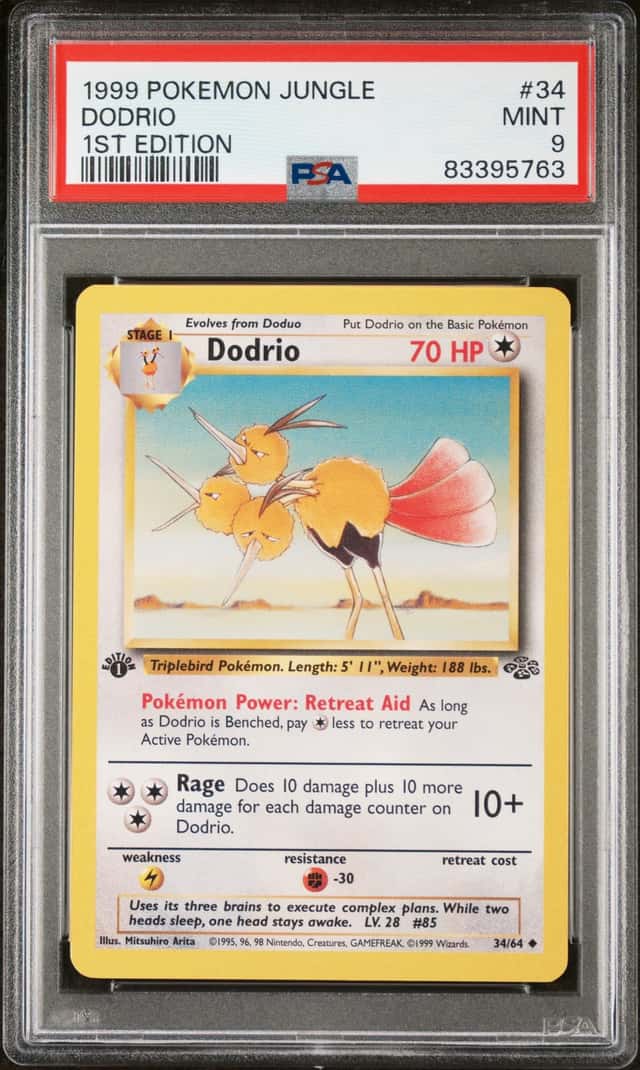 Dodrio