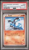 Riolu