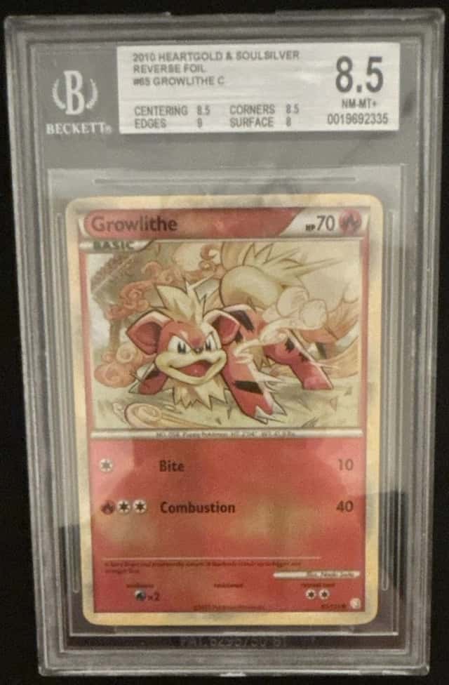 Growlithe