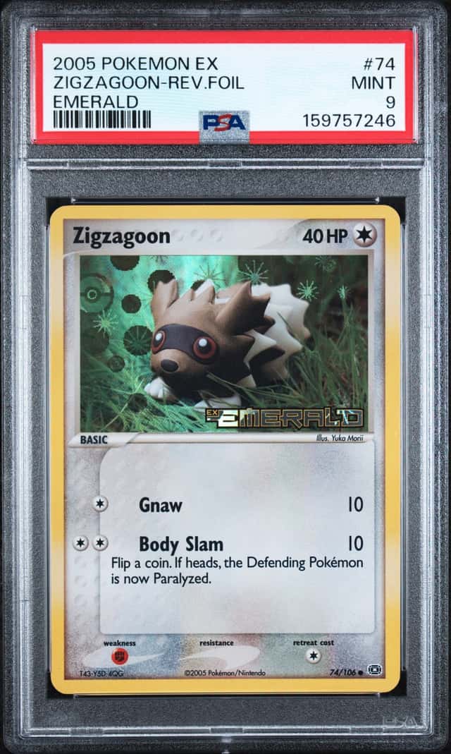 Zigzagoon