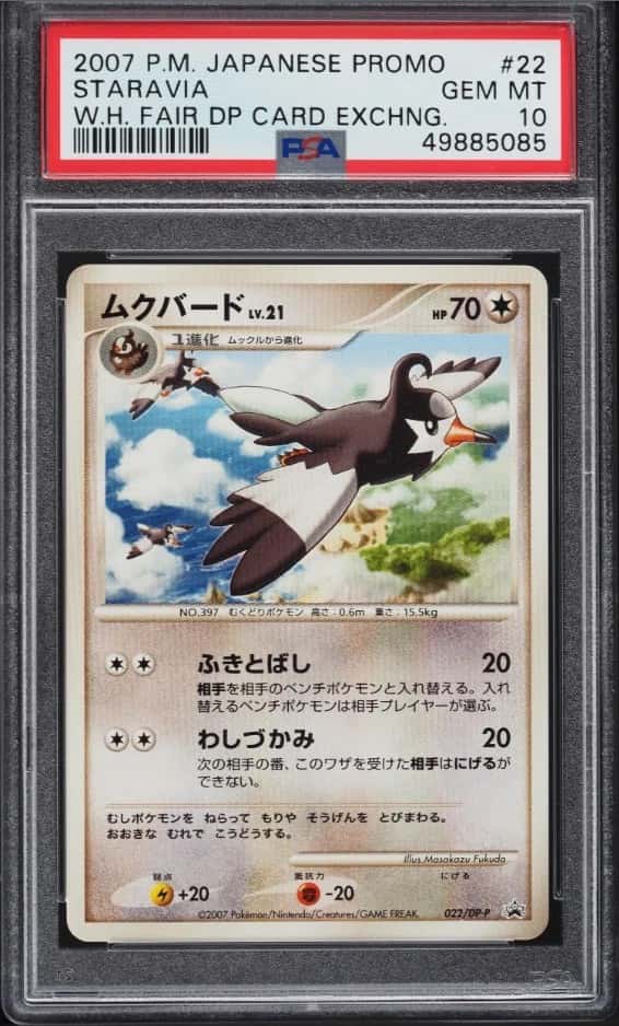 Staravia