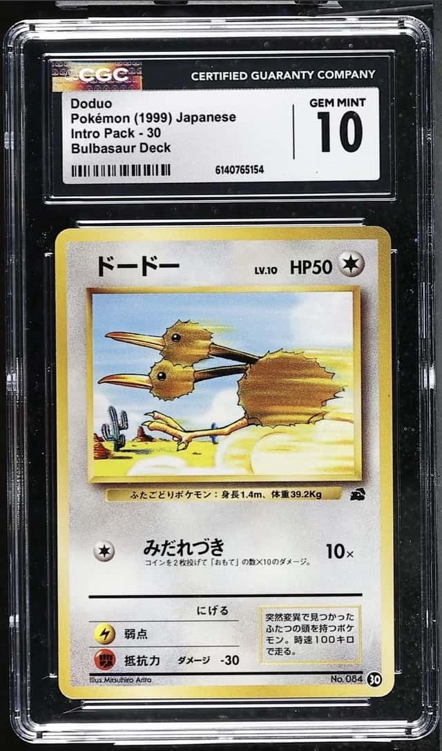 Doduo