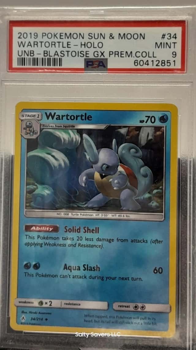 Wartortle