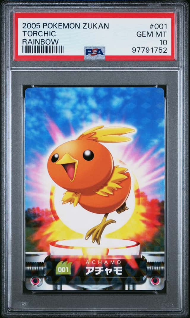 Torchic