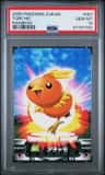 Torchic