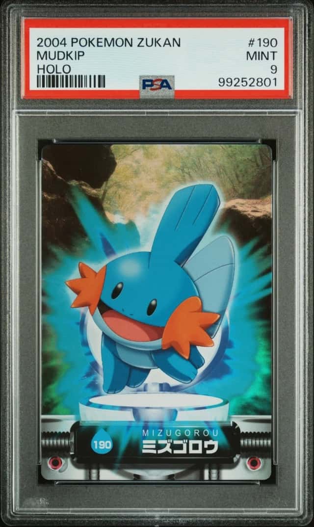 Mudkip