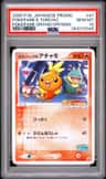 Pokepark'S Torchic