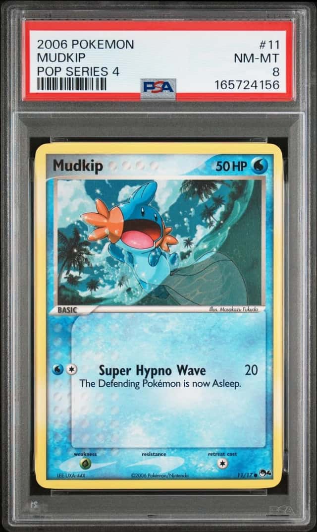 Mudkip