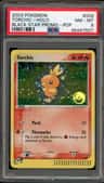 Torchic