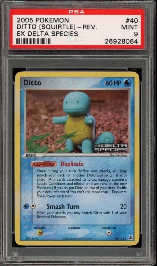 Ditto [Squirtle]
