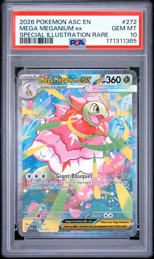 MEGA MEGANIUM ex