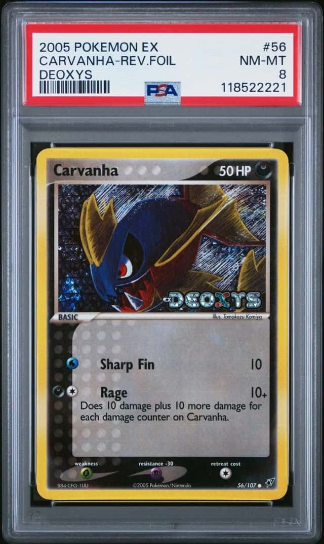 Carvanha