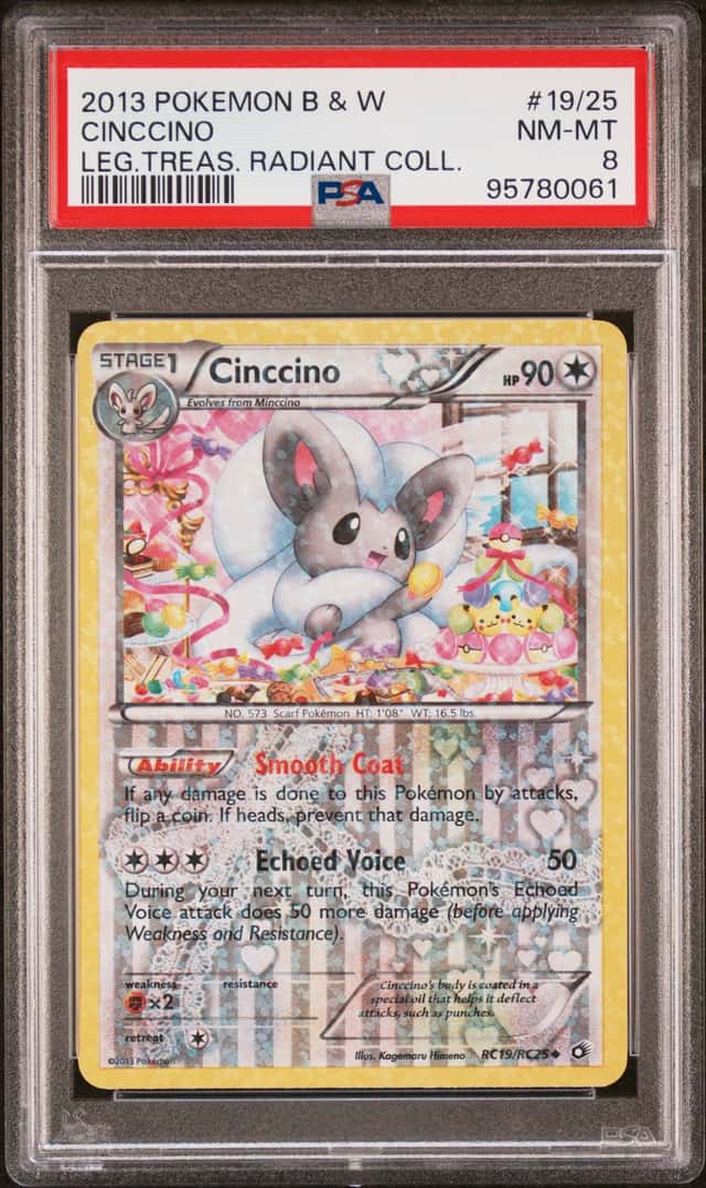 Cinccino