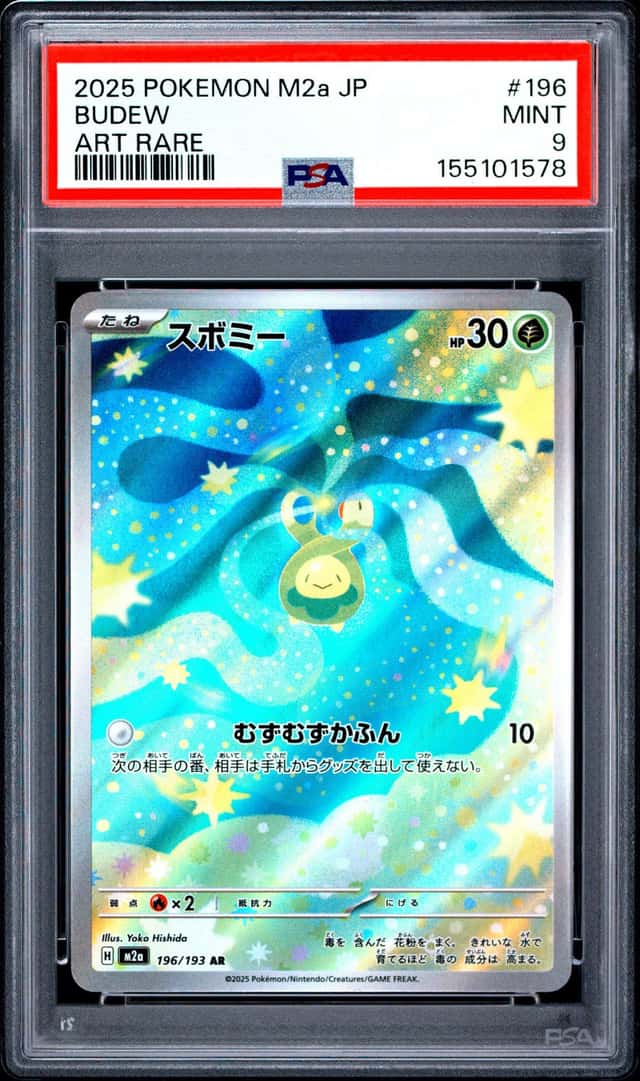 Budew