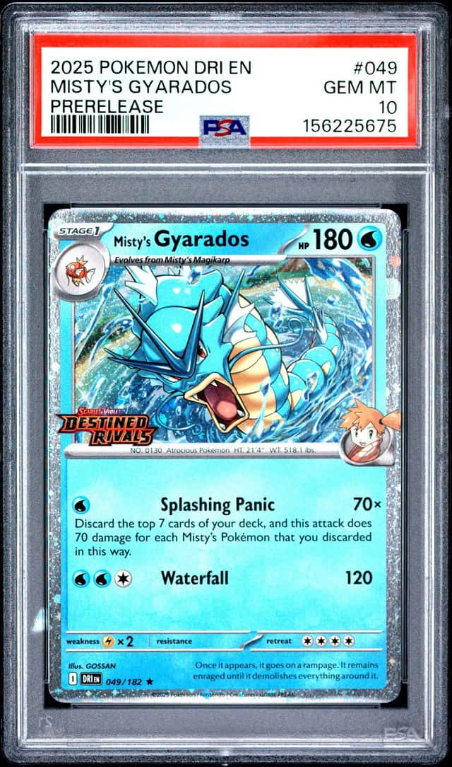 Misty's Gyarados