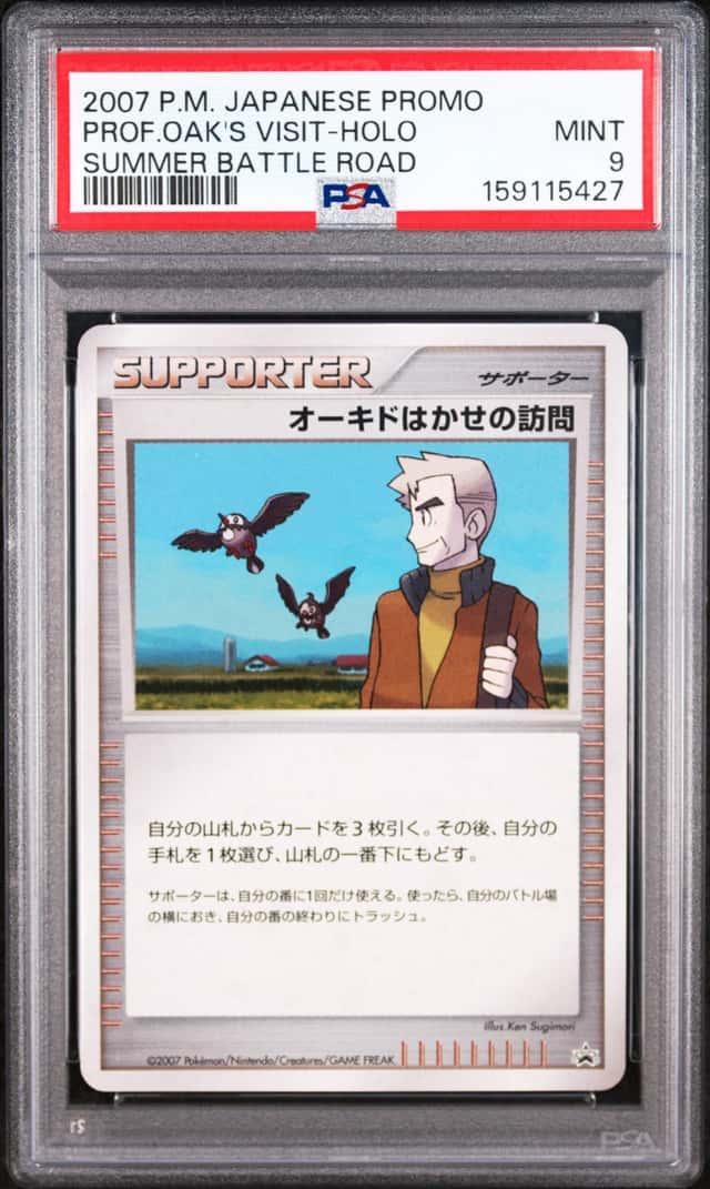 PROF.OAK'S VISIT
