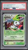 Shaymin Lv X