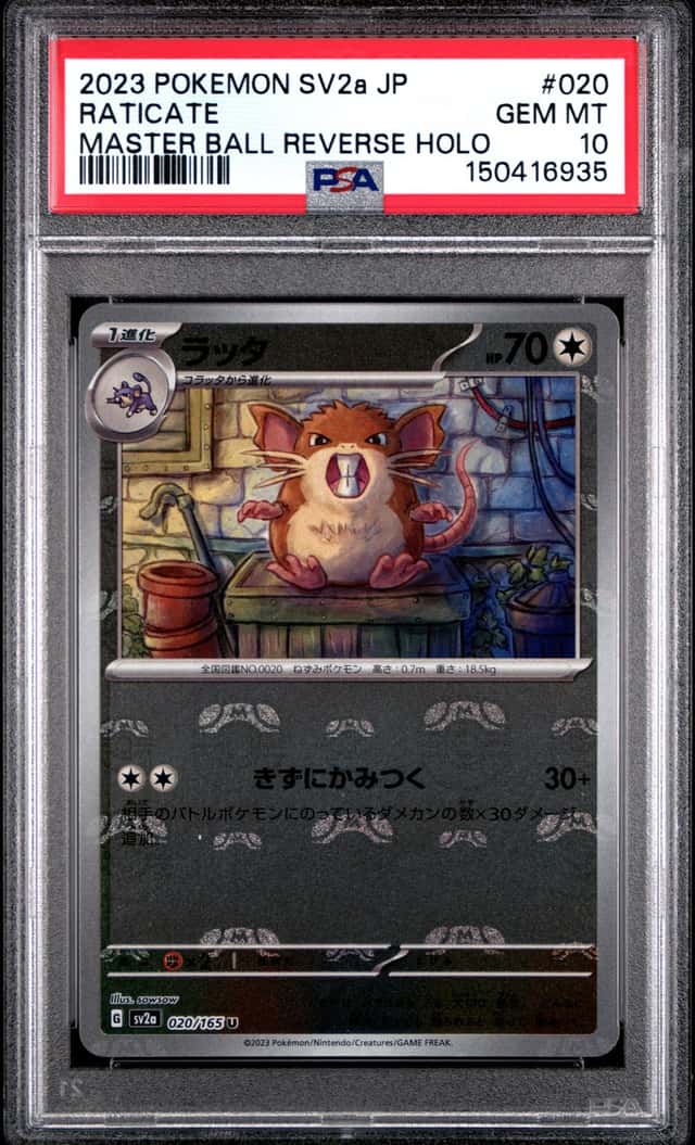 Raticate