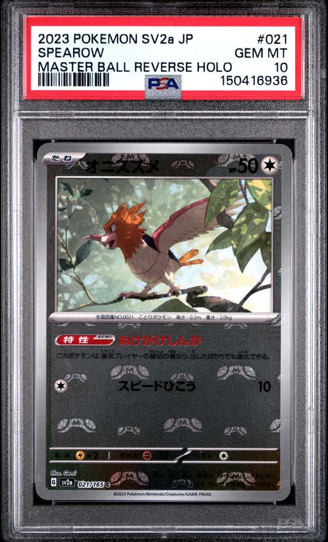 Spearow