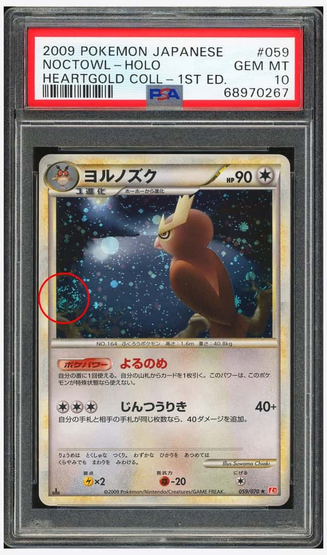 Noctowl