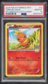 Torchic