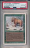 War Mammoth