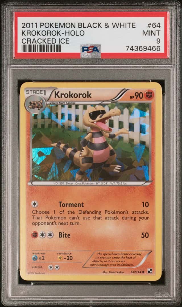 Krokorok