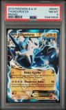 Thundurus Ex