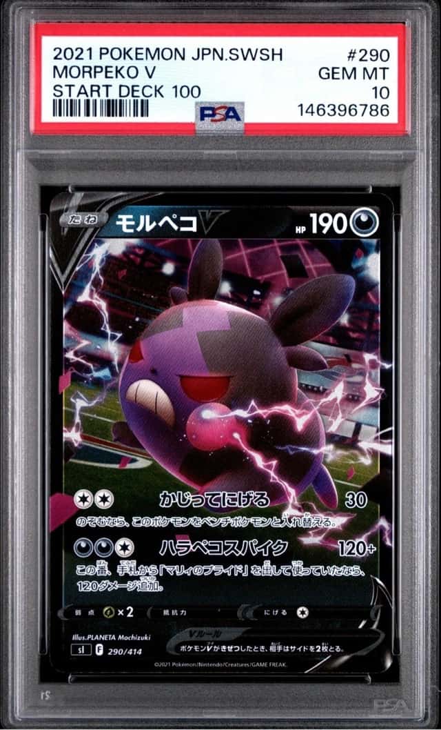 Morpeko V