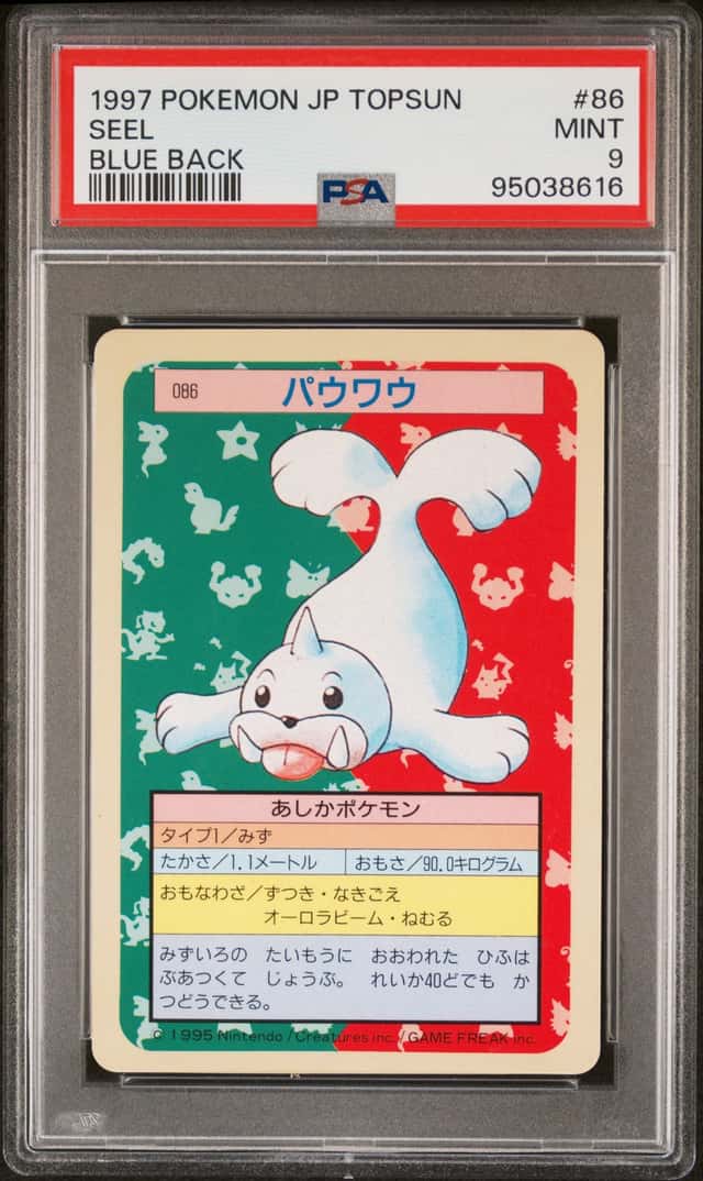 Seel