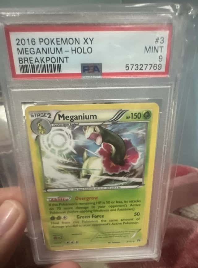 Meganium