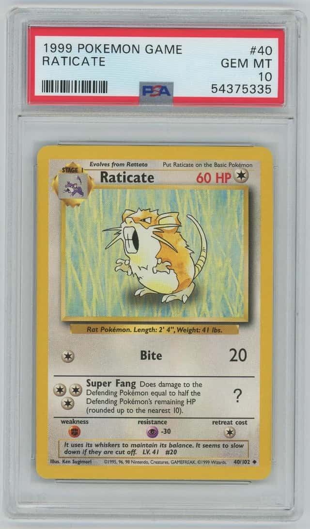 Raticate