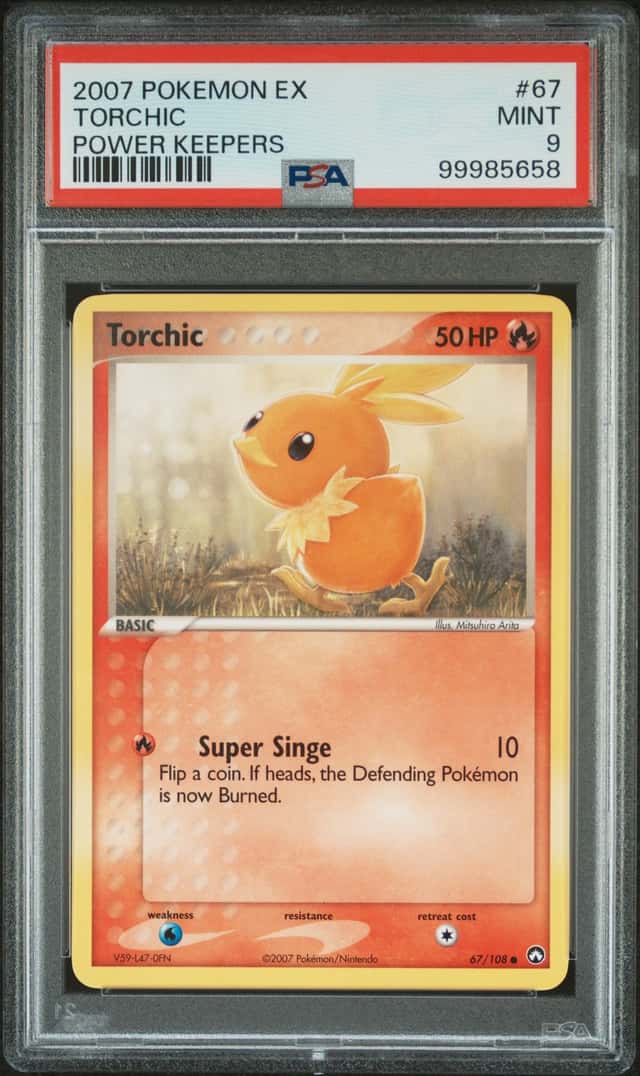 Torchic