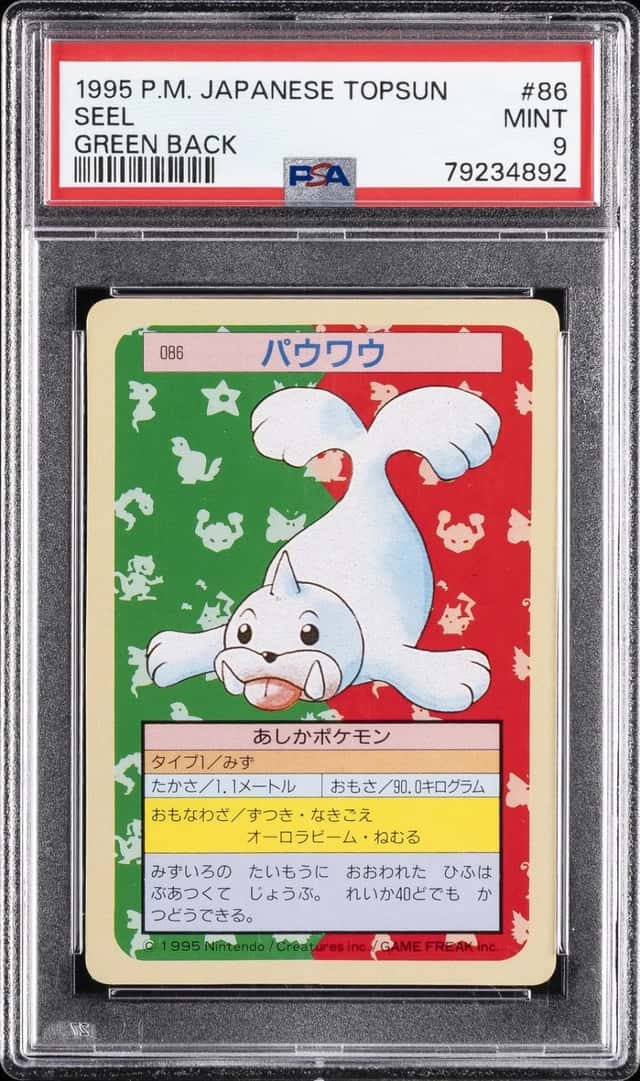 Seel