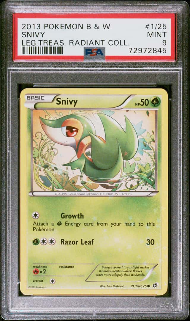 Snivy