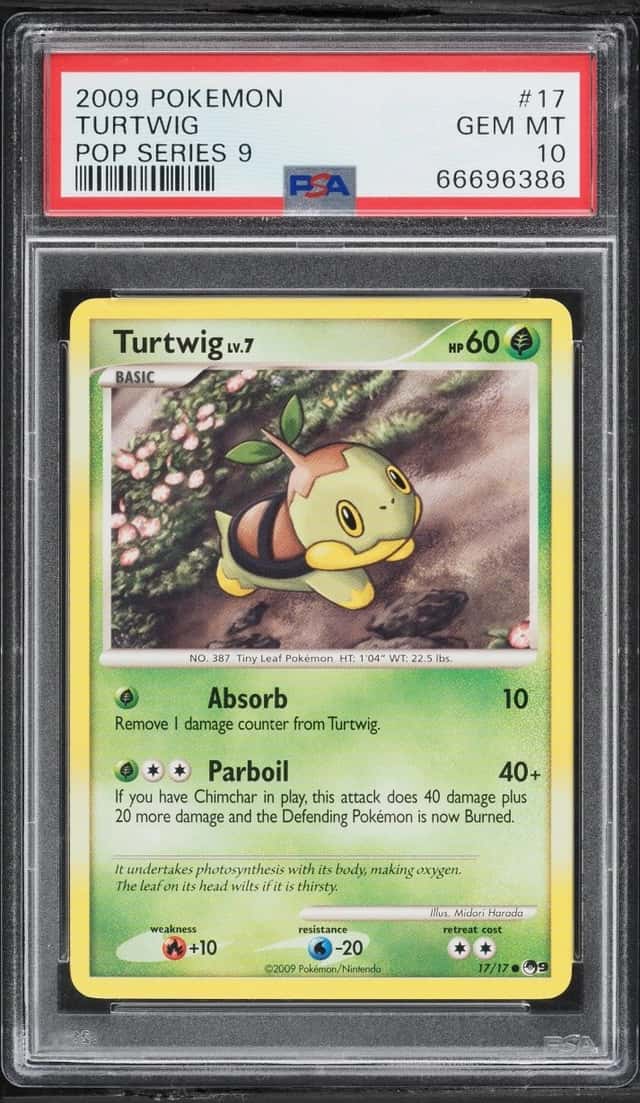 Turtwig