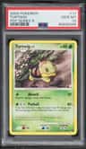 Turtwig