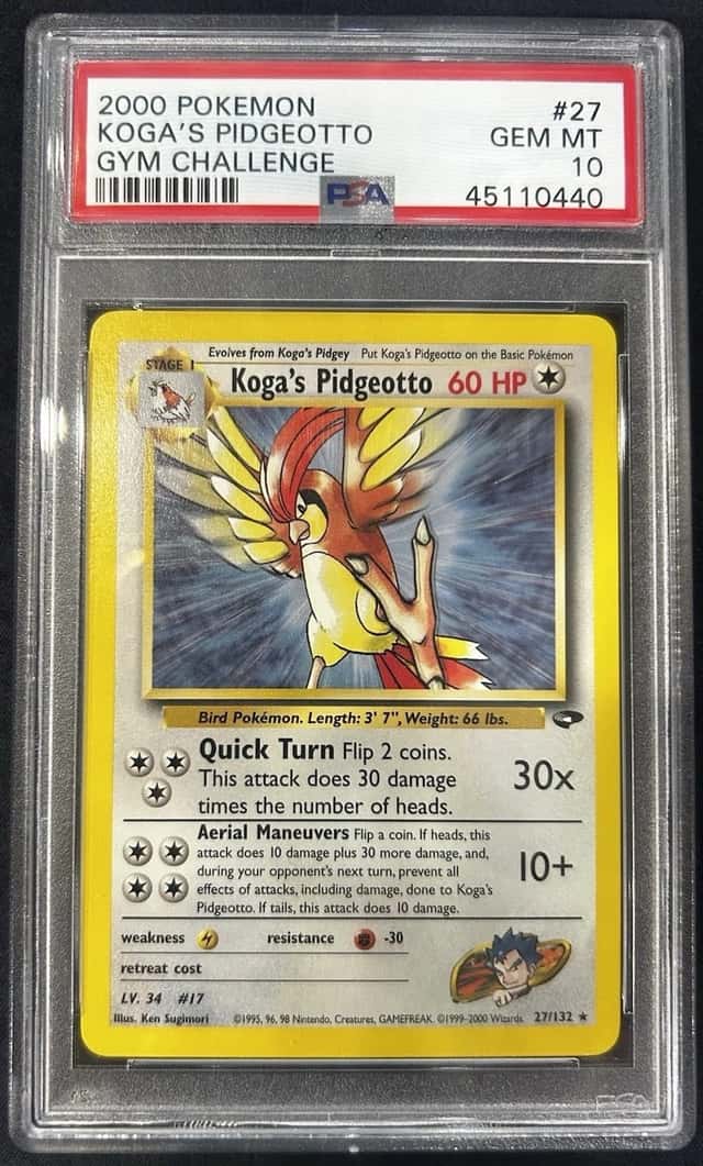 Koga's Pidgeotto