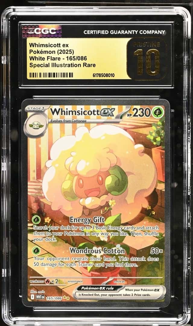 WHIMSICOTT ex