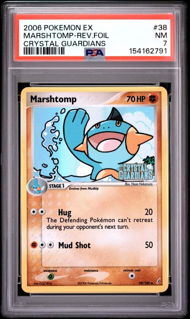 Marshtomp