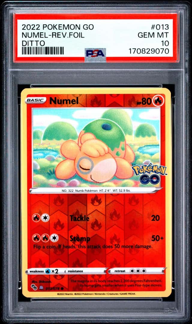 Numel (Ditto)
