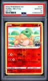 Numel (ditto)