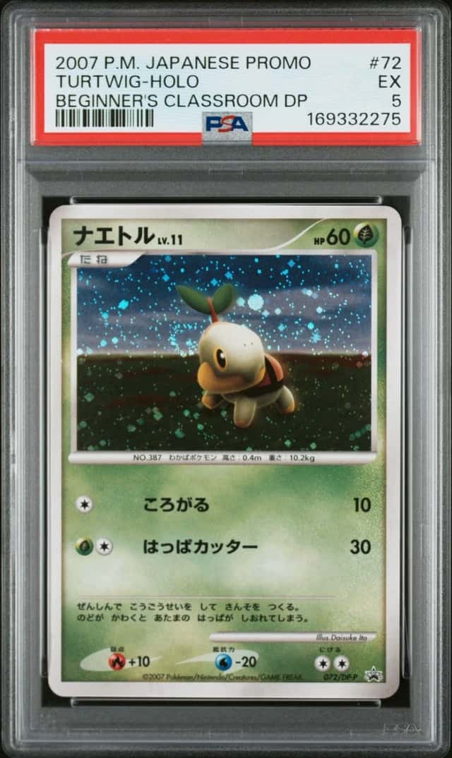 Turtwig