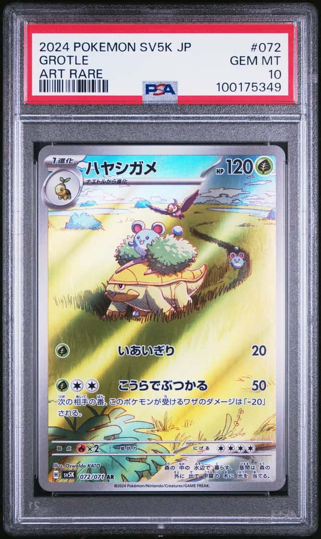 Grotle