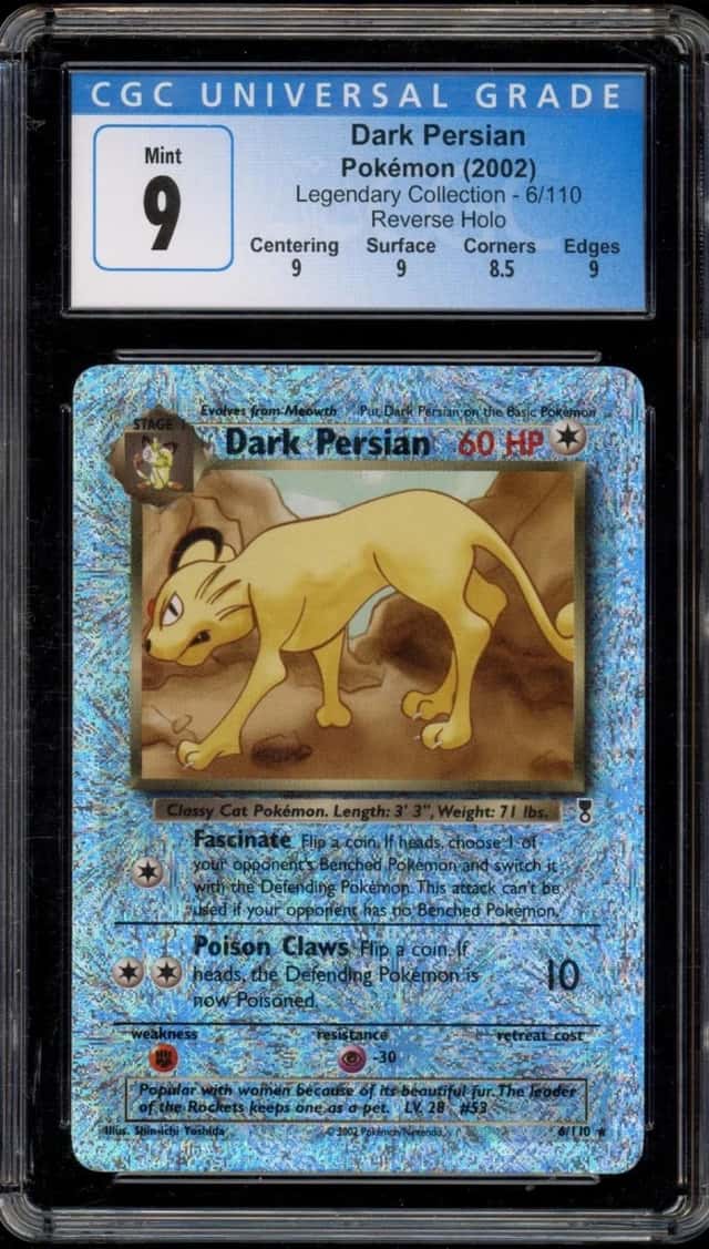 Dark Persian