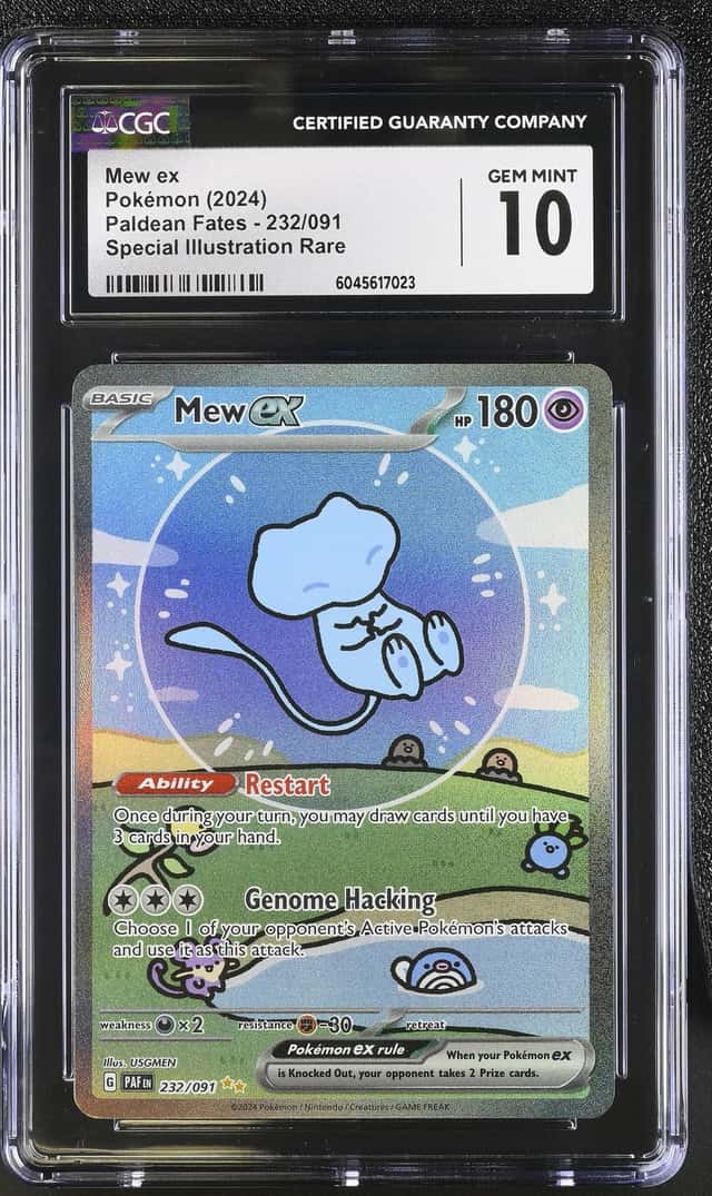 MEW ex