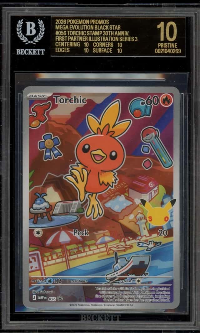 Torchic