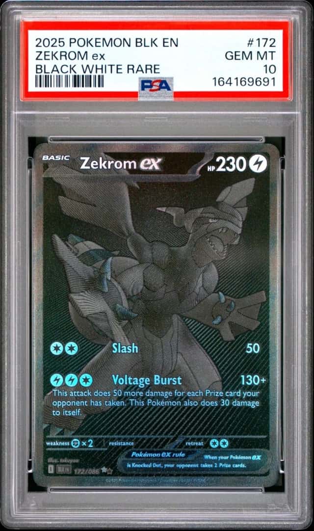 Zekrom ex 172/086 PSA 10 GEM MINT Pokémon Black Bolt BWR English 2025