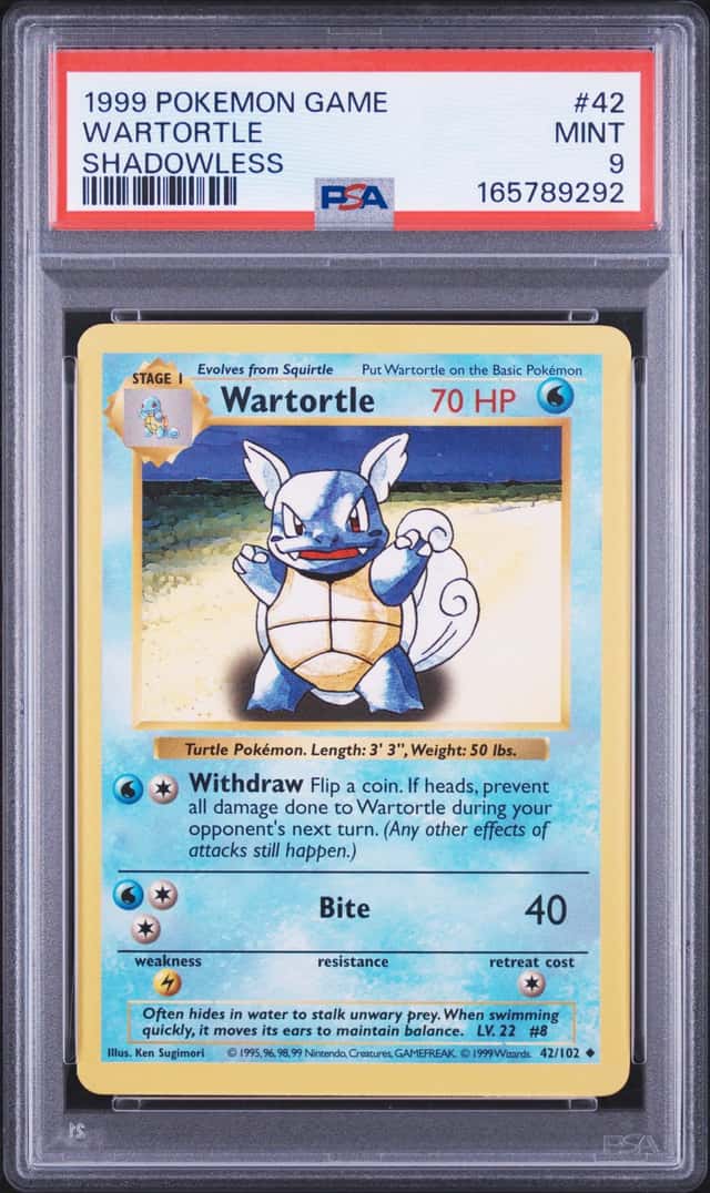 Wartortle