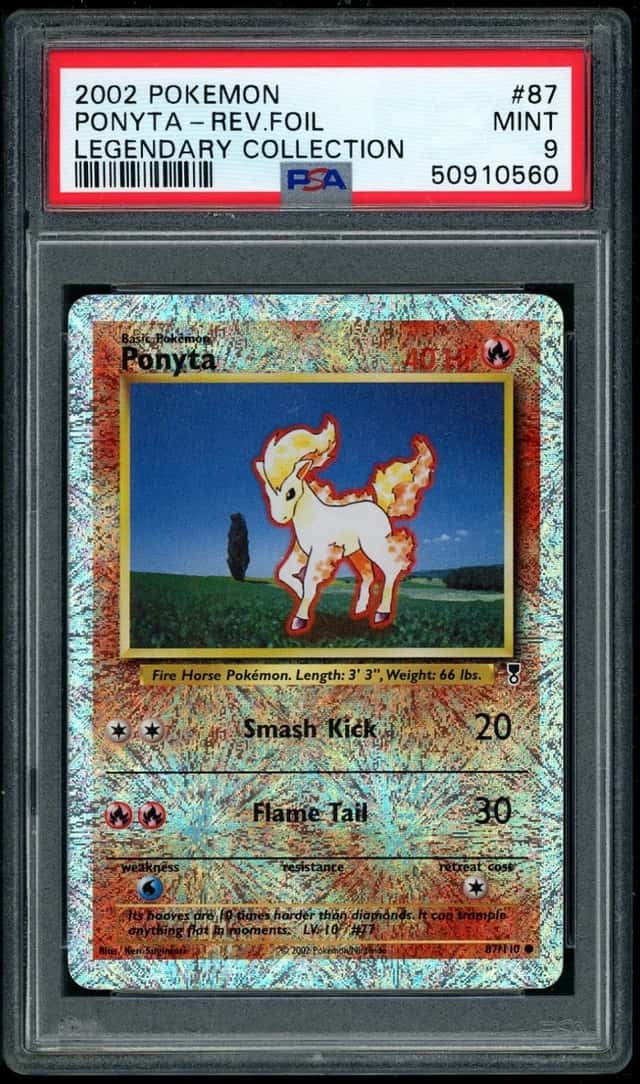 Ponyta